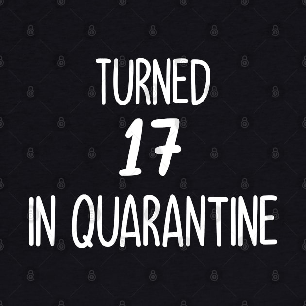 turned 17 in quarantine by Elhisodesigns